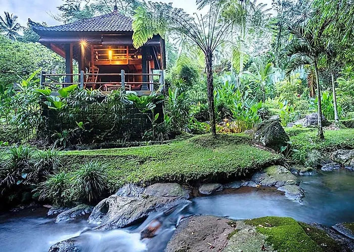 Bali Eco