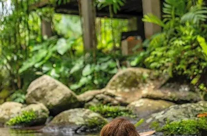 ロッジ Bali Eco