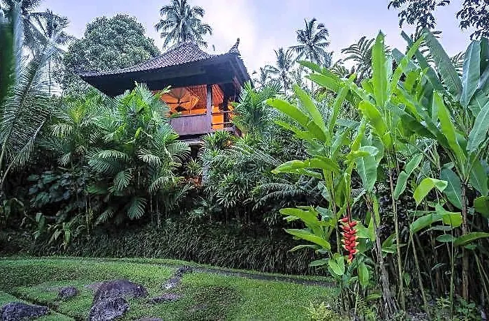 Bali Eco * East Selemadeg