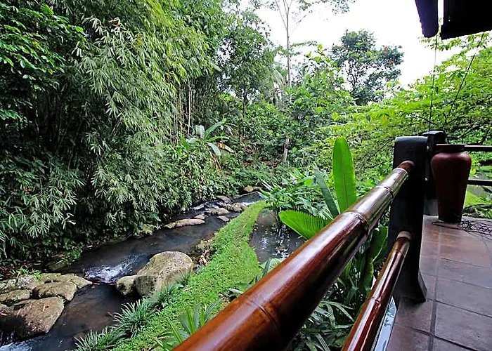 Bali Eco East Selemadeg