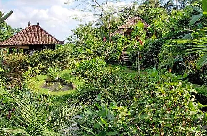 Bali Eco ロッジ *