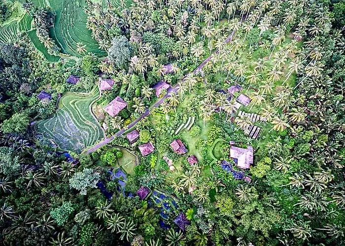 Bali Eco