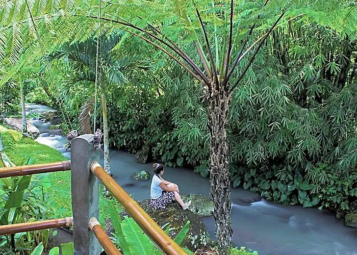 Bali Eco *